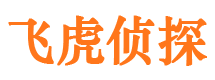 肥乡市侦探调查公司